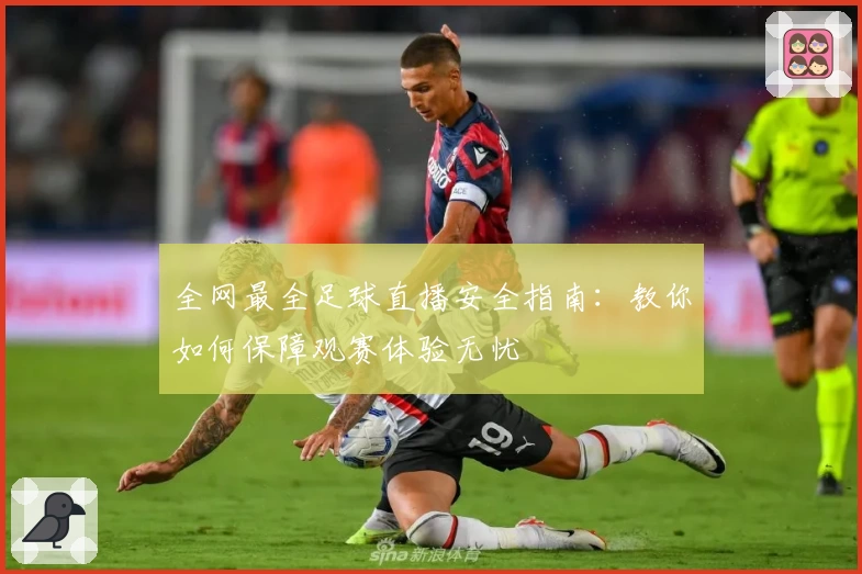 全网最全足球直播安全指南：教你如何保障观赛体验无忧