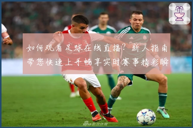 如何观看足球在线直播？新人指南带您快速上手畅享实时赛事精彩瞬间